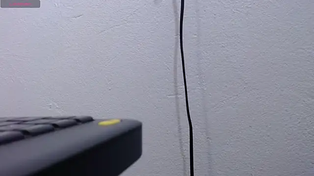 scaelettdubois webcam