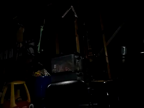 thejuicybacon webcam