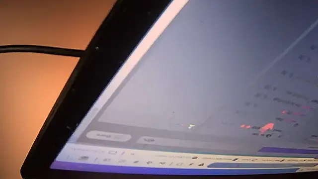 HeyyImHarlowe webcam