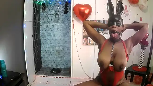 BaDSubMiss webcam