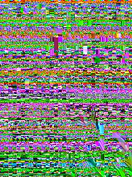 salome_polaniiee webcam