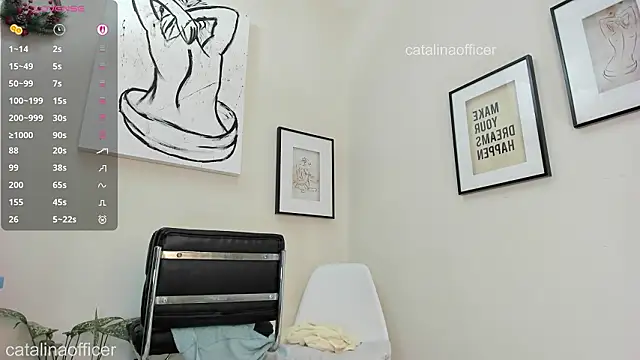catalinaofficer webcam