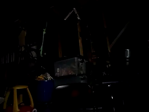 thejuicybacon webcam