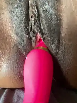 Butterfly_couple-- webcam