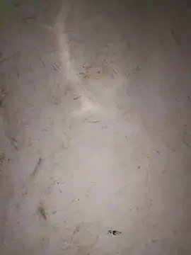 aunty_sumy - Aunty_sumy's free webcam - UK Sex Cams