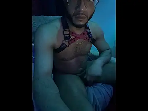 KY_Sir35 webcam