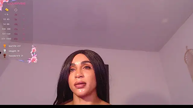 destinne_mill_ webcam