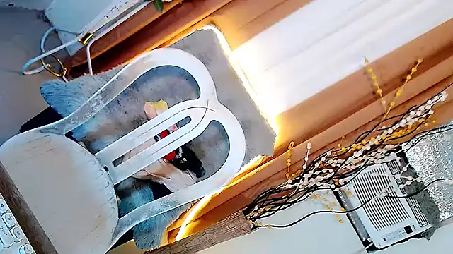 Natasha_Sweetx webcam