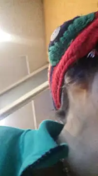 rposhta1991 - Rposhta1991's free webcam - UK Sex Cams