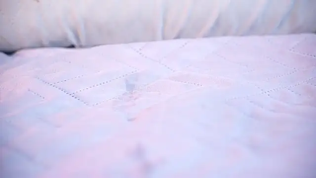 ambar_rosse25 webcam