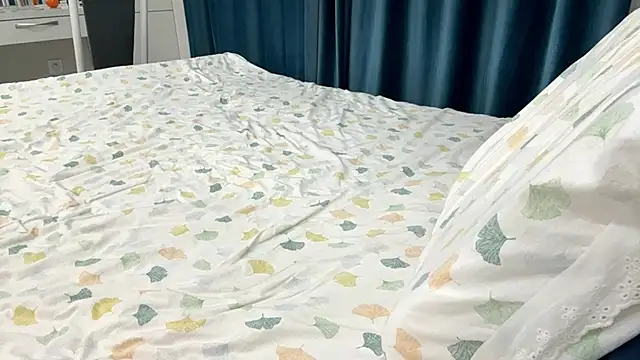 SupremeDividend webcam