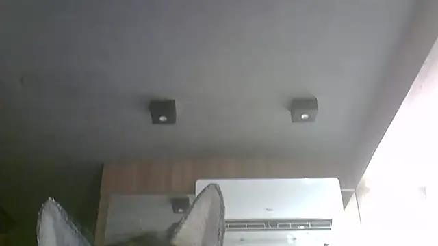 SkinnyKitten webcam