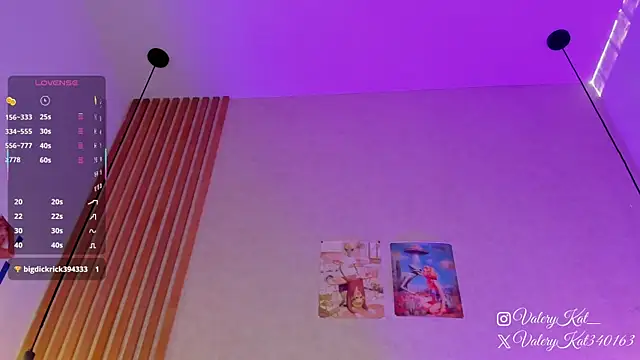 Valerykat_ webcam