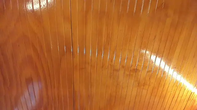 Manson_and_Zoe webcam