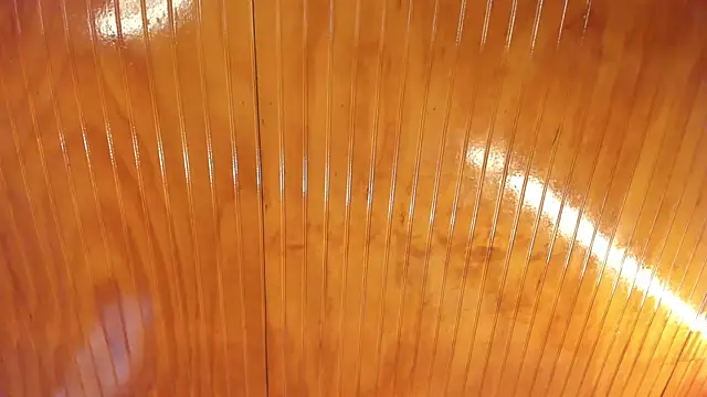 Manson_and_Zoe webcam