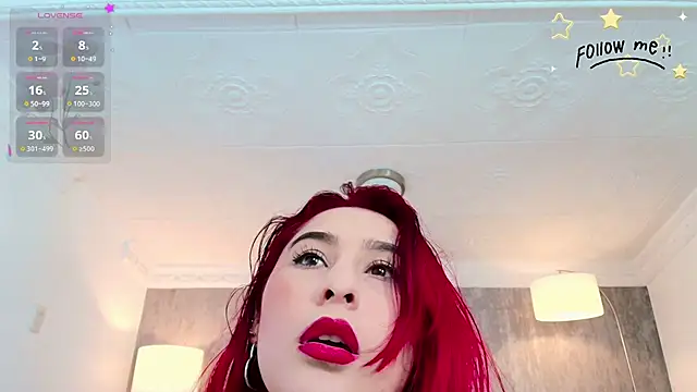 aria_li webcam