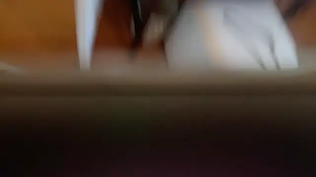 wolverinedream webcam