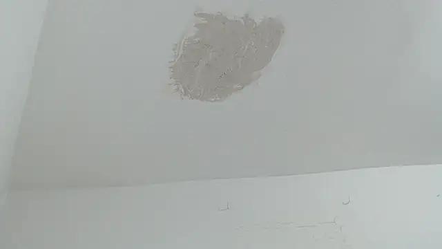 brant_garciabbc webcam