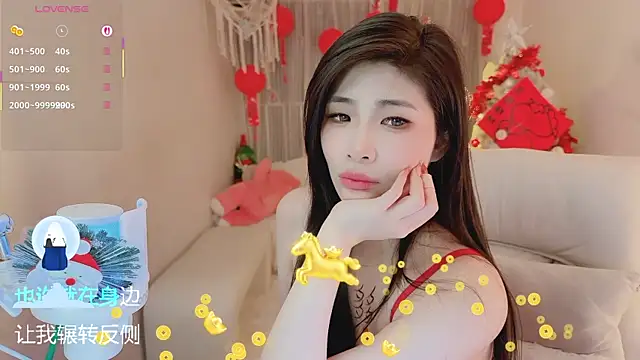 Vaidurya-Yolo webcam