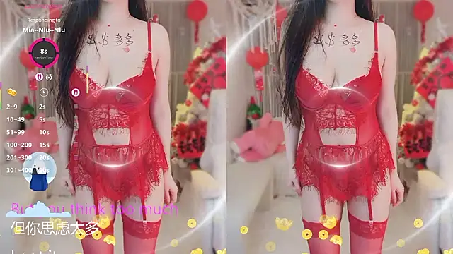 Vaidurya-Yolo webcam