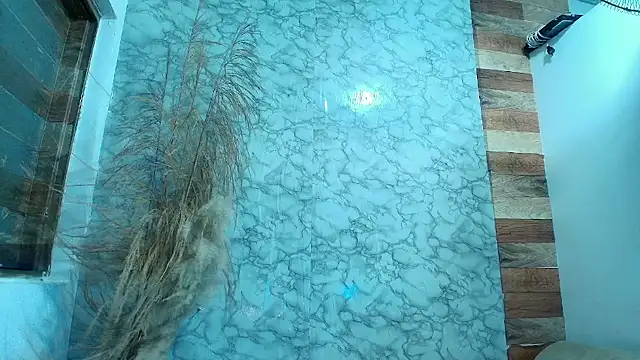 max_ashley_mds webcam