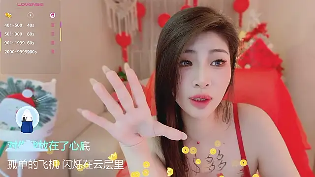 Vaidurya-Yolo webcam