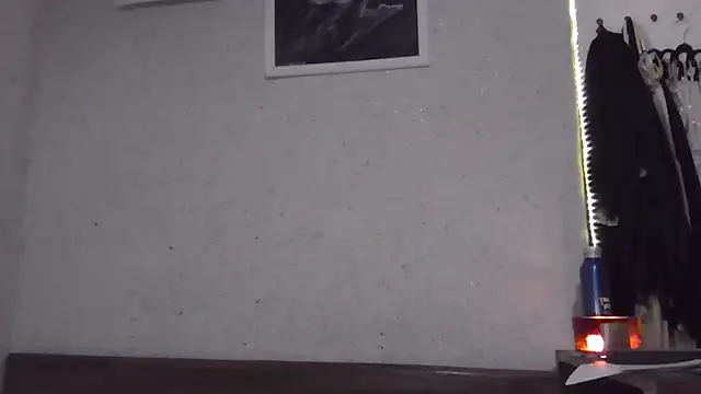 fox_red_lady7 webcam