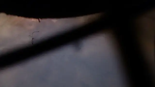 cordt27 - Cordt27's free webcam - UK Sex Cams