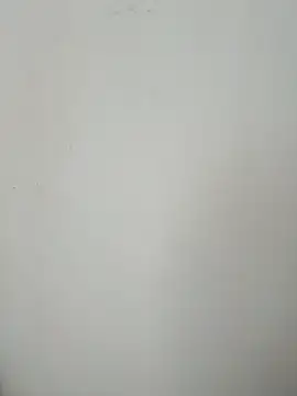 LEIRIS_Y_FRED_01 webcam