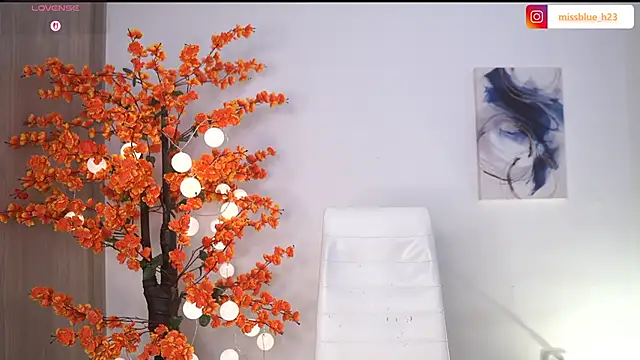 VictoriaHiill webcam