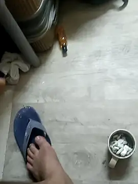 ConvoyedSubgroup webcam