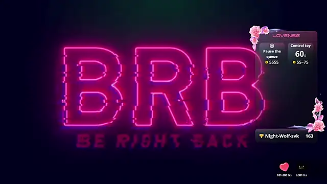 SophiaUniversee webcam