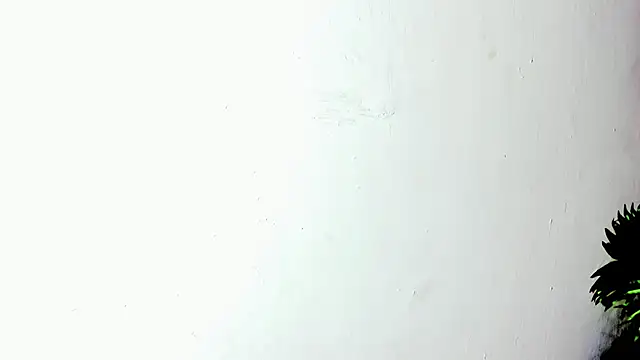 VIOLETA_PARKKER webcam