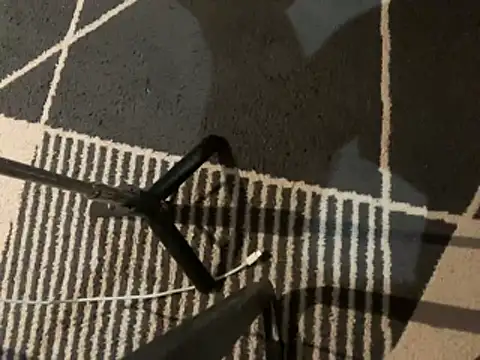 BruceIsHorny_ webcam