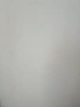 LEIRIS_Y_FRED_01 webcam