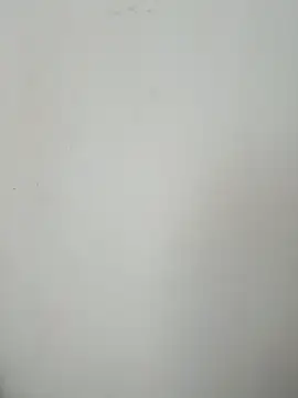 LEIRIS_Y_FRED_01 webcam