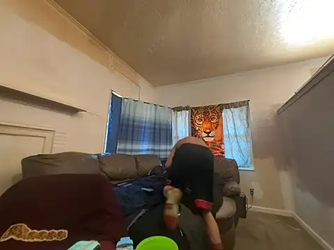 ThrowedWorldWide webcam