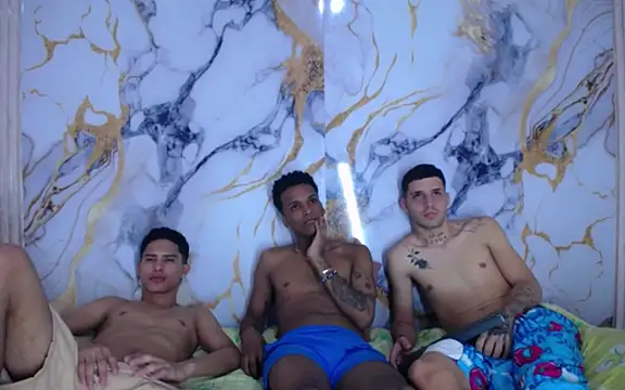 Damian_and_theo webcam