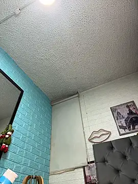 SALOME_KORLAND webcam