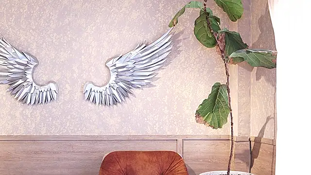 Ethan_occonor webcam