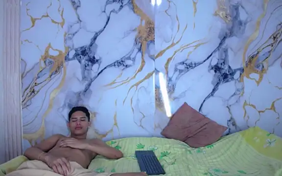 Damian_and_theo webcam