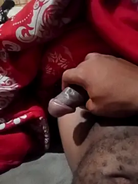 WinglessStuff webcam