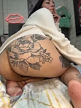 SALOME_KORLAND webcam