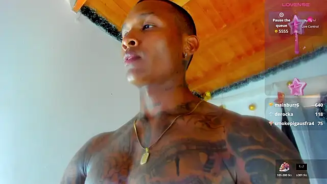 esteveen_ortegas_ webcam