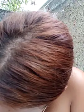 young_dairy01 webcam