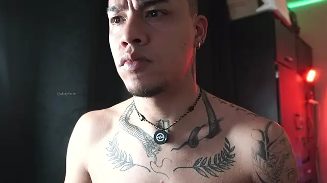 AlphaMasterXxx webcam