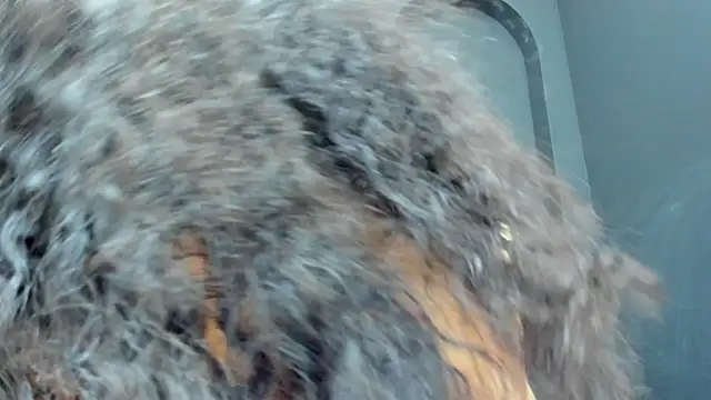 selenaflamemj webcam