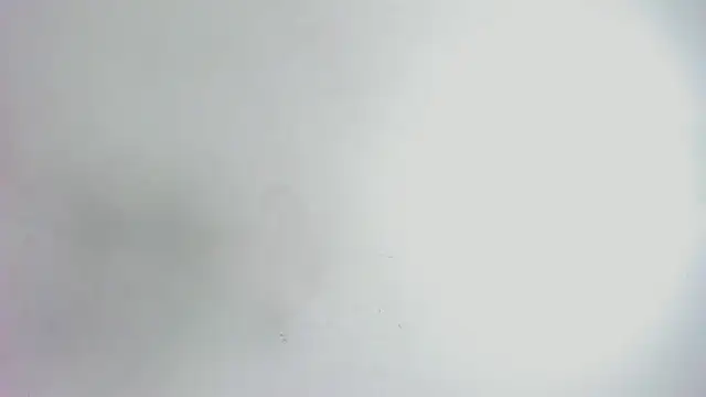 Emma_cartter1 webcam