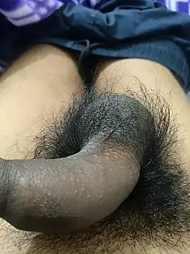 _Stripchat_Owner_ webcam