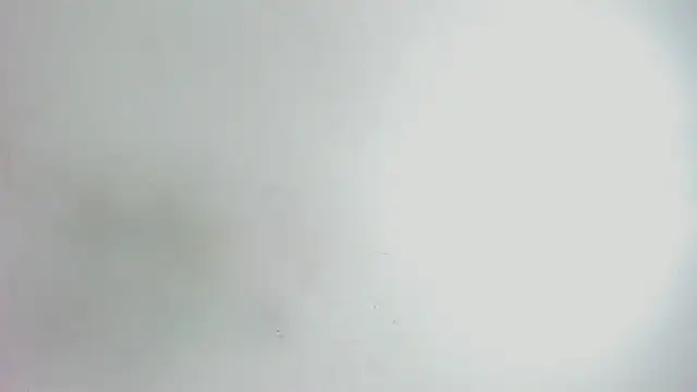 Emma_cartter1 webcam